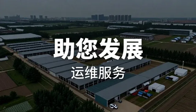 技术培训课程如何助力业务发展